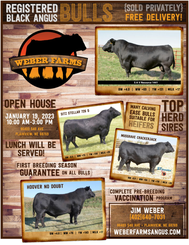 Jim Weber Bull Flyer2023 Use
