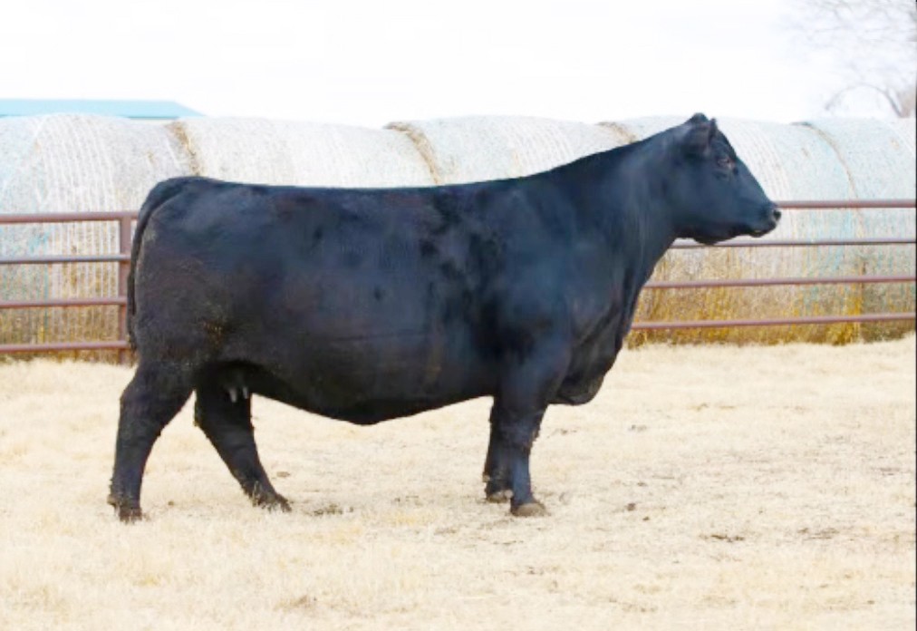 Scc Lhr Eriskay 6261 8170